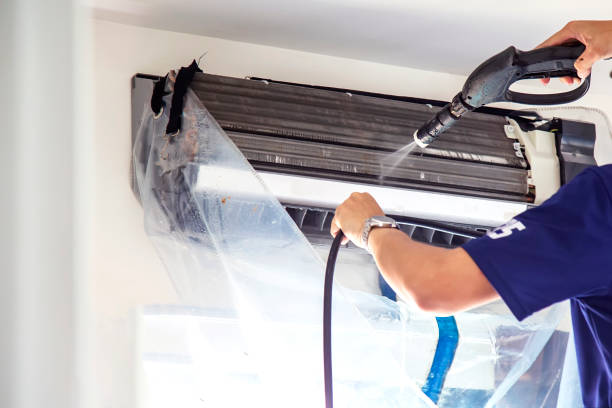 Best Affordable HVAC Duct Cleaning  in Mount Jackson, VA