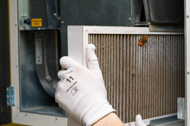 Best Air Duct Sanitizing Services  in Mount Jackson, VA