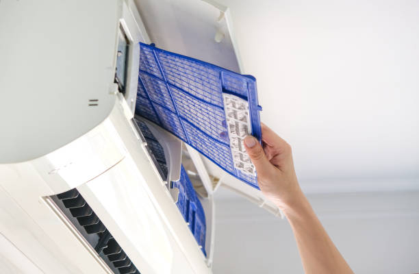 Best Duct Cleaning for Offices  in Mount Jackson, VA