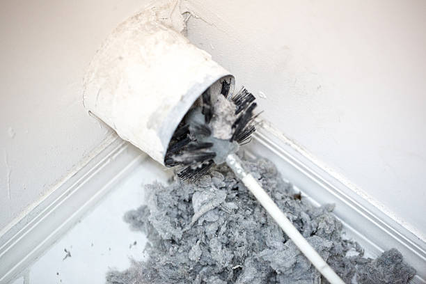 Best Commercial Air Duct Cleaning  in Mount Jackson, VA